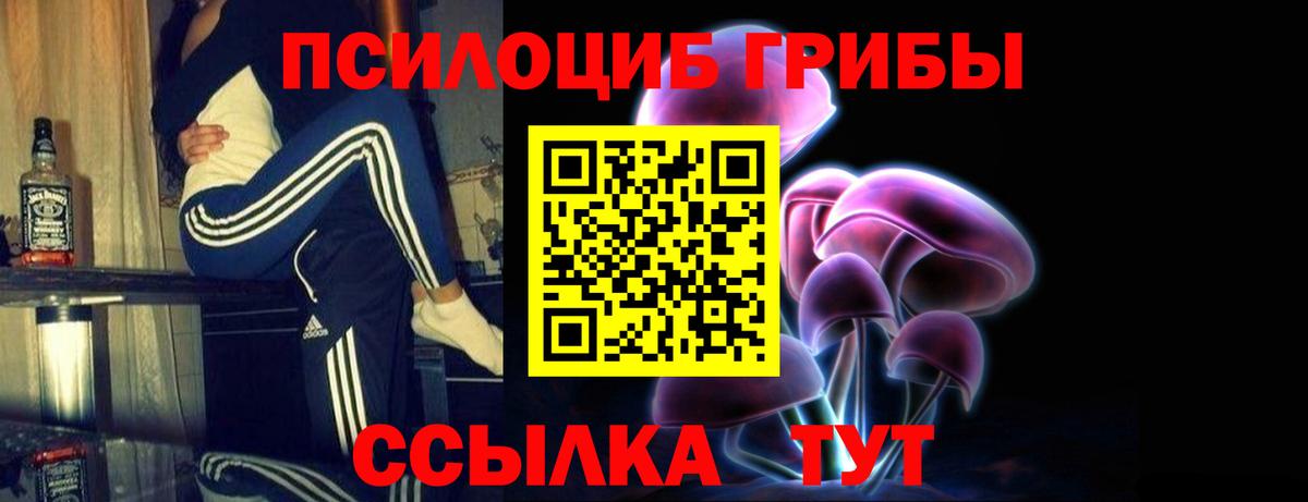 Галлюциногенные грибы ЛСД Ефремов